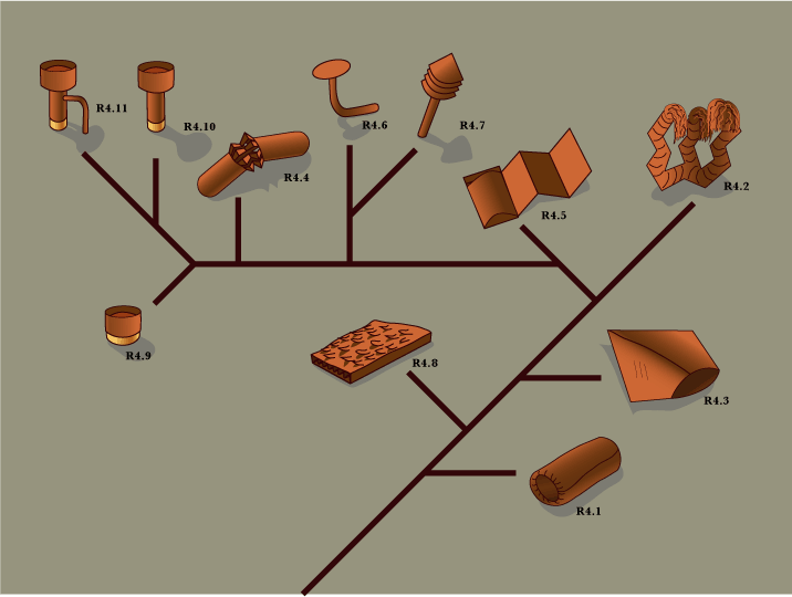 R4 cladogram